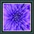 Live Wallpapers Violet Flower