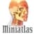 Miniatlas Anatomy