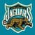 Jacksonville Jaguars Fan App