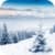 Snowfall 3D Live Wallpaper 