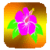 Most Beautiful Flowers on Earth