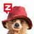 Zoobe on Android