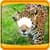 Animal Photo Montage Editor