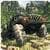 Truck Driver 3D Offroad single