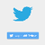 Twitter Authentication