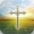 Daily Bible Study