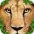 Ultimate Lion Simulator only