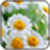 FLOWER IMAGE_2