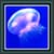 Live Wallpapers - Jellyfish