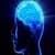 Brain Measure Application