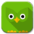 Flinger Birds