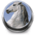 Horse Sounds app