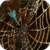 Golden Spider Web Live Wallpaper