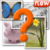 GUESS THE WORD - 4 Pics 1 word