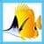 Kids Fish
