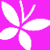 Free Butterfly Wallpapers HD 
