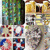 Decor Idea Room DIY