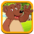 Adventure of Crazy Bear