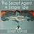 The Secret Agent: A Simple Tale by Joseph Conrad 