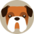 Help a Dog