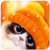 Cat and Owl Live Wallpaper