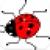 War Beetle Game