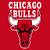 Chicago Bulls Fan