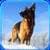 Arctic Shepherd Dog Simulator