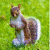 App Animal Sounds