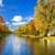Beautiful Nature Live