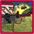 RIMBA Adventure Shooting Games