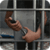 Prison Break 2017