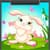Bunny Coloring Book