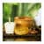Ayuvedic Cures And Remedies