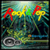 Rock N Pop_TRYBUYF