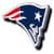 New England Patriots Fan
