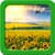 Sunflower Live Wallpapers