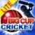 Big Cup Cricket Lite
