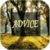 Advice Quotes Collection