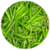 Benefits of Green chillis