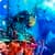Ship Aquarium Fish LiveWP