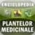 Enciclopedia plantelor medicinale