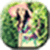 Holly Beauty Wallpaper App