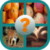 Guess The Picture 2018