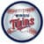 Minnesota Twins Fan