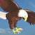 Flappy Eagles V2