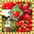 Strawberry Photo Collage Free