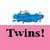 Young Adult EBook - Twins