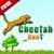 Cheetah Hunt