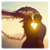 Love Story Amazing